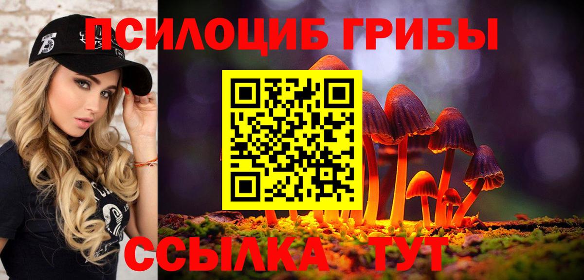 Псилоцибиновые грибы Cubensis  Псилоцибиновые грибы мицелий  Вход с VPN  Печора 