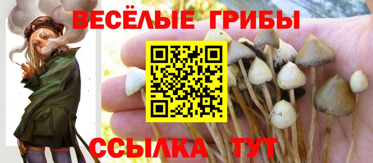 Псилоцибиновые грибы мицелий Печора